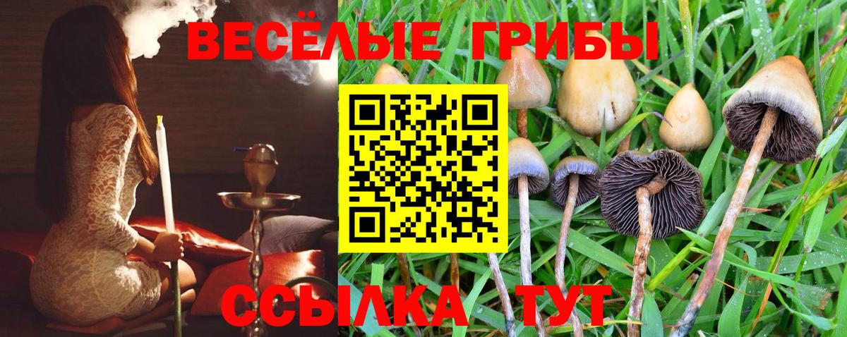 Галлюциногенные грибы прущие грибы Горячий Ключ